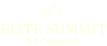 Translation missing: en.Elite Summit Recovery accessibility.home